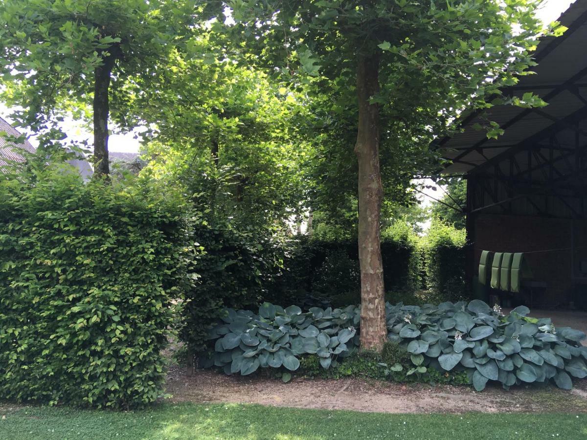 Vila Neerhof Neerlinter Exteriér fotografie